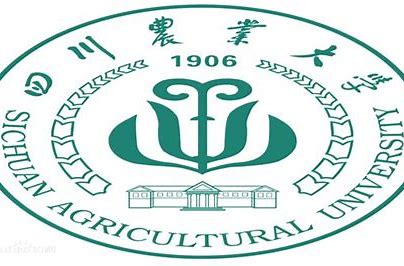 在职研究生学习网