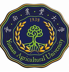 在职研究生学习网